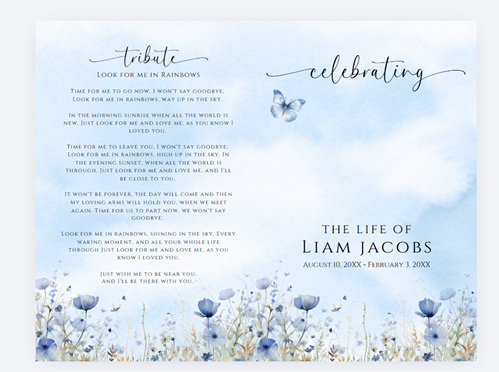 Little Butterflies